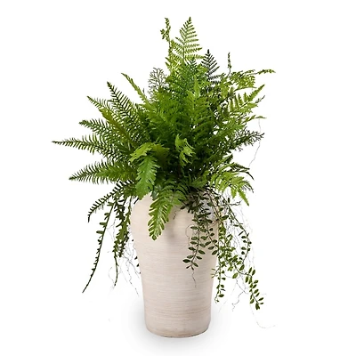 Greenery in Cement Pot Floor Plant
