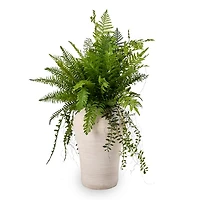 Greenery in Cement Pot Floor Plant