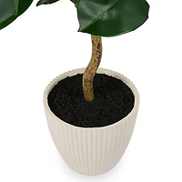 4 ft Fiddle Leaf Fig Tree in Pot