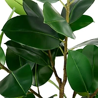 4 ft Fiddle Leaf Fig Tree in Pot