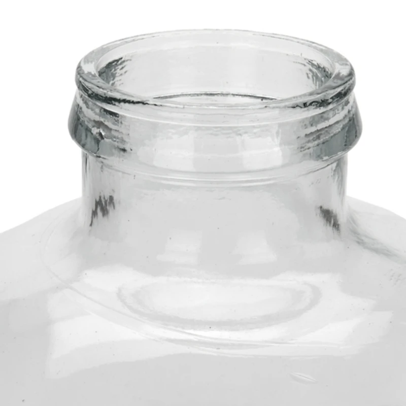 Round Clear Glass Bottle Vase