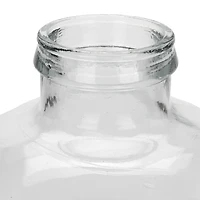 Round Clear Glass Bottle Vase