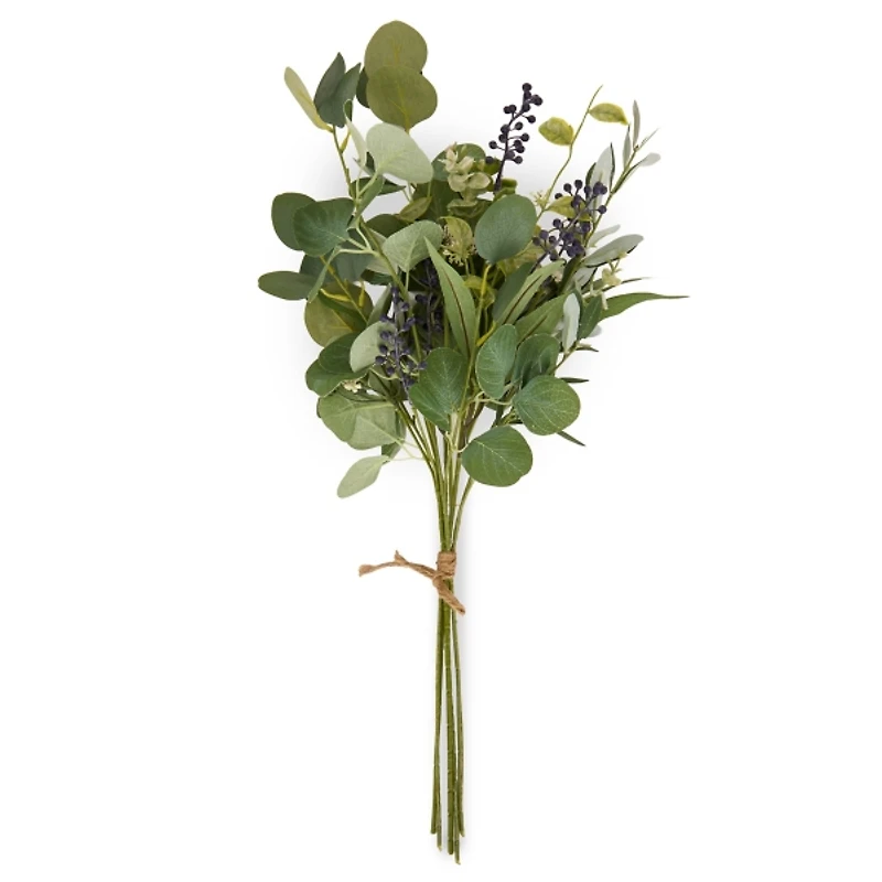 Queen Anne Lace Bundle