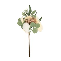 Coastal Shell and Starfish Stem