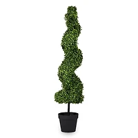 4 ft Spiral Boxwood Topiary