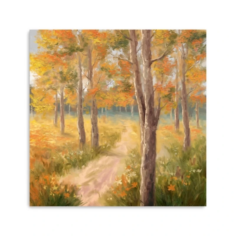 Fall Forest Canvas Art Print, 30x30