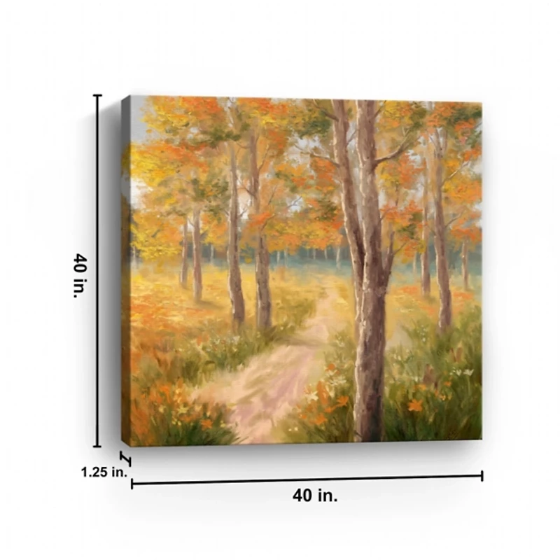 Fall Forest Canvas Art Print, 40x40