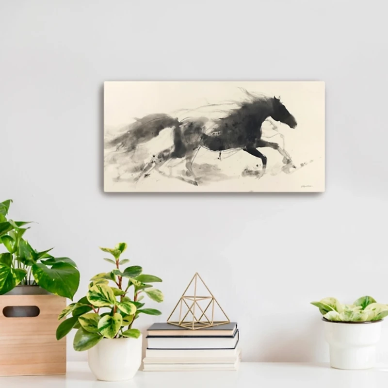 Shadow Dancer I Canvas Art Print