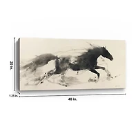 Shadow Dancer I Canvas Art Print