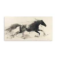 Shadow Dancer I Canvas Art Print