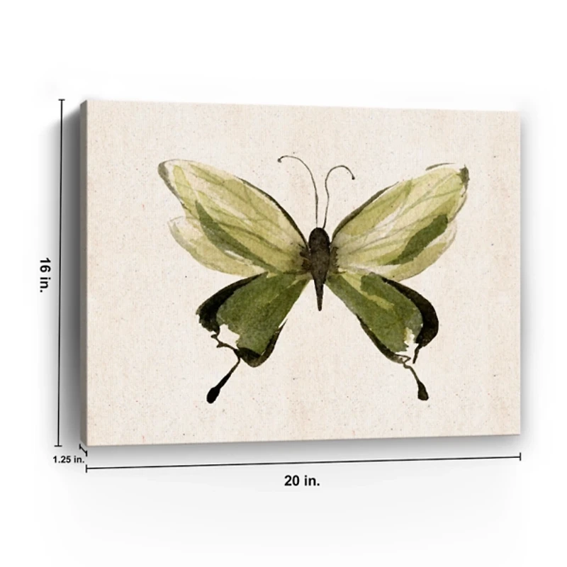 Midcentury Butterfly II Canvas Art Print