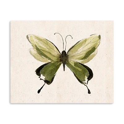 Midcentury Butterfly II Canvas Art Print, 30x24