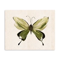 Midcentury Butterfly II Canvas Art Print, 30x24