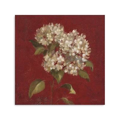 Red Hydrangea Blooms Canvas Art Print, 30x30