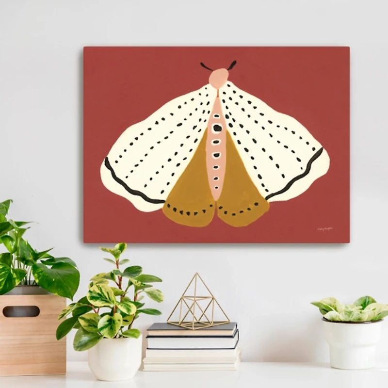 Cinnamon Moth Canvas Art Print