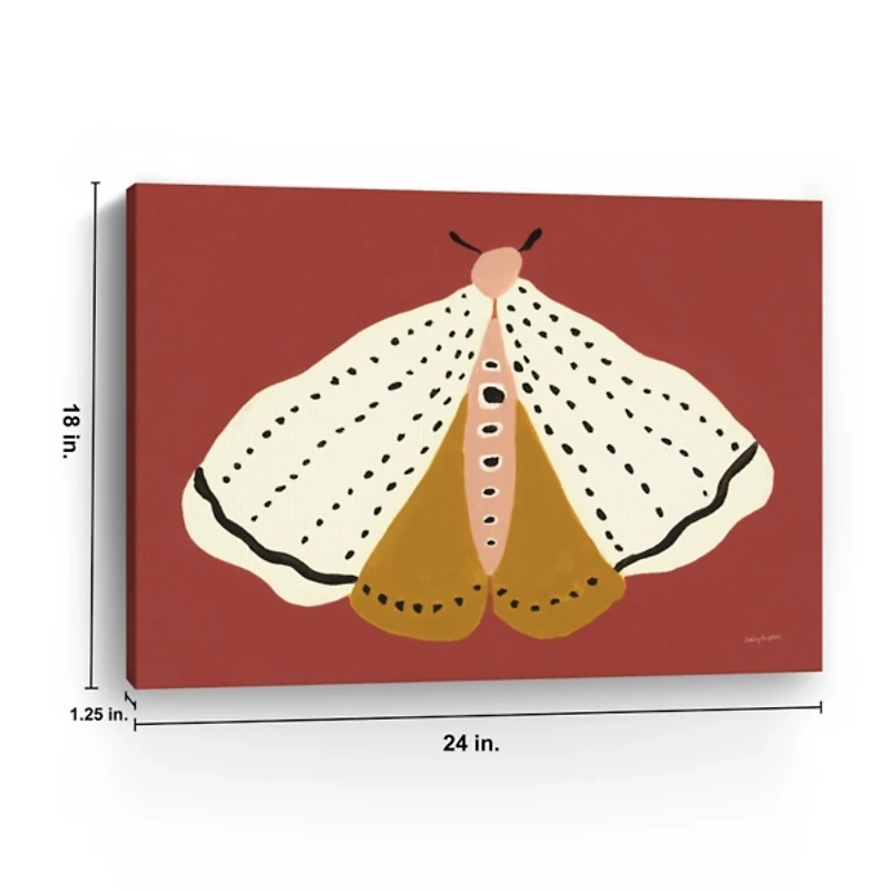 Cinnamon Moth Canvas Art Print