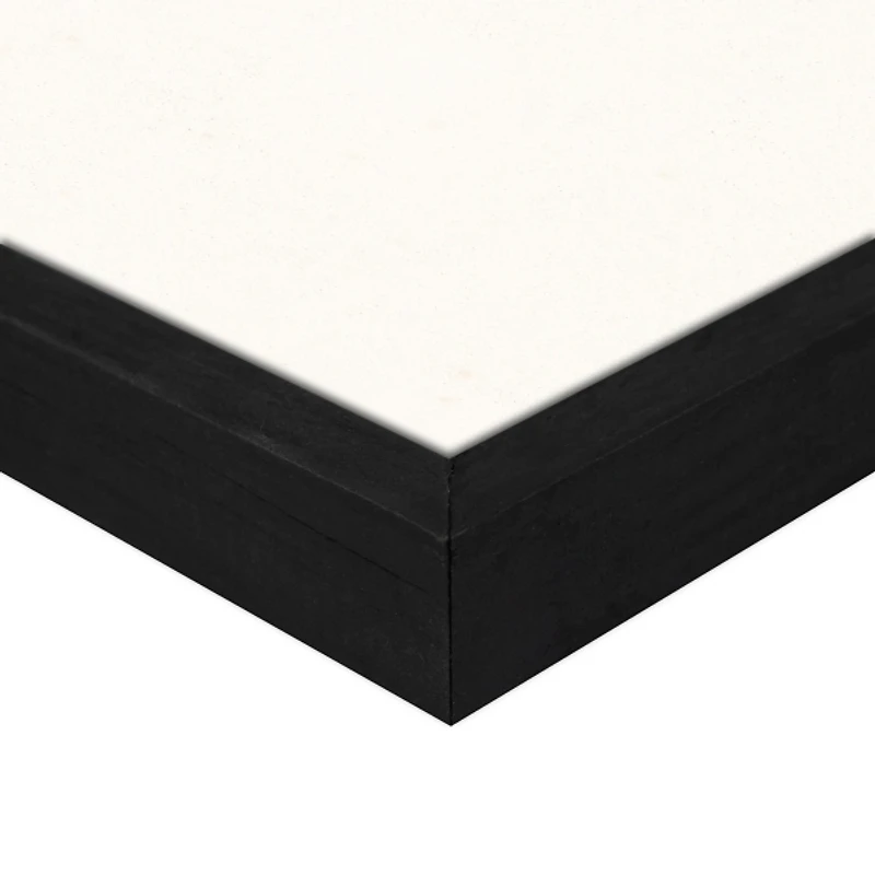 Zen Cranes Framed Canvas Art Print