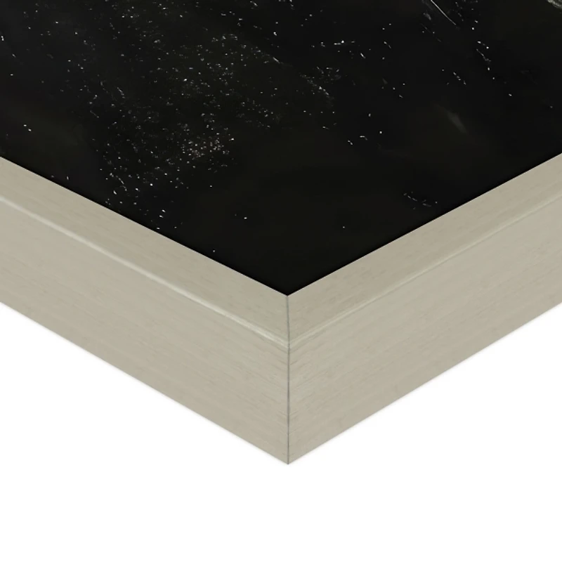 Peach Roses Framed Canvas Art Print