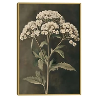 Sophisticated Floral Portrait Framed Canvas Print