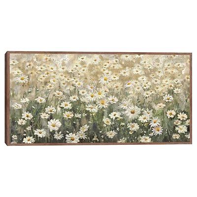Daydream Daisies Framed Canvas Art Print
