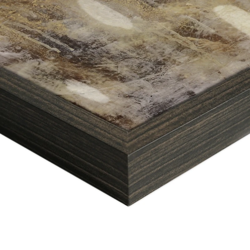 Golden Forest III Framed Canvas Art Print