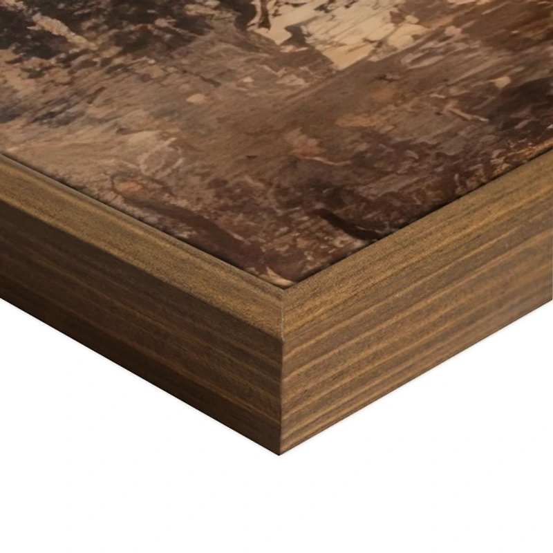 Cow of the Desert Framed Canvas Art Print