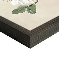 Tree Blossoms Framed Canvas Art Prints, Set of 2