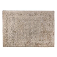 Vanilla Gray Paola Traditional Area Rug, 5x7