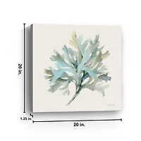 Coastal Bliss Coral Canvas Art Print