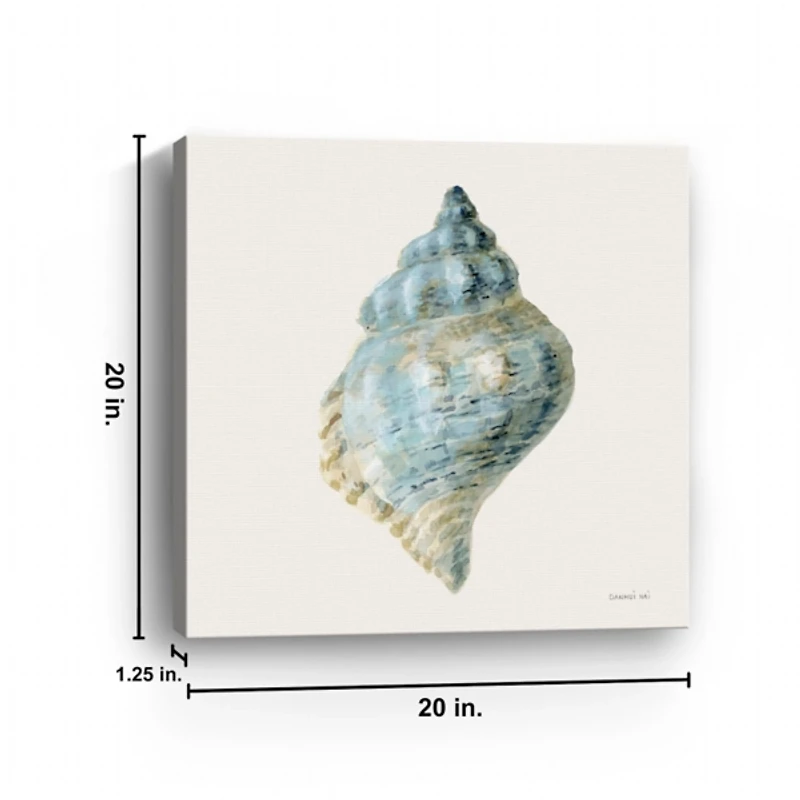 Coastal Bliss Shell Canvas Art Print