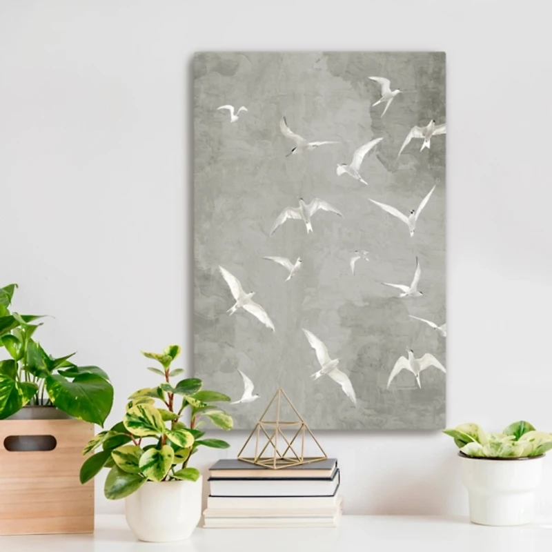 Gray Flight Canvas Art Print