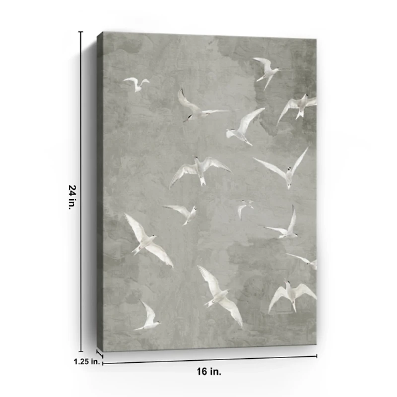 Gray Flight Canvas Art Print