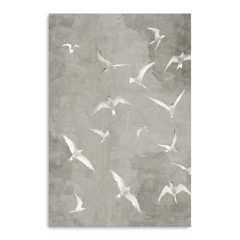 Gray Flight Canvas Art Print