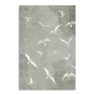 Gray Flight Canvas Art Print