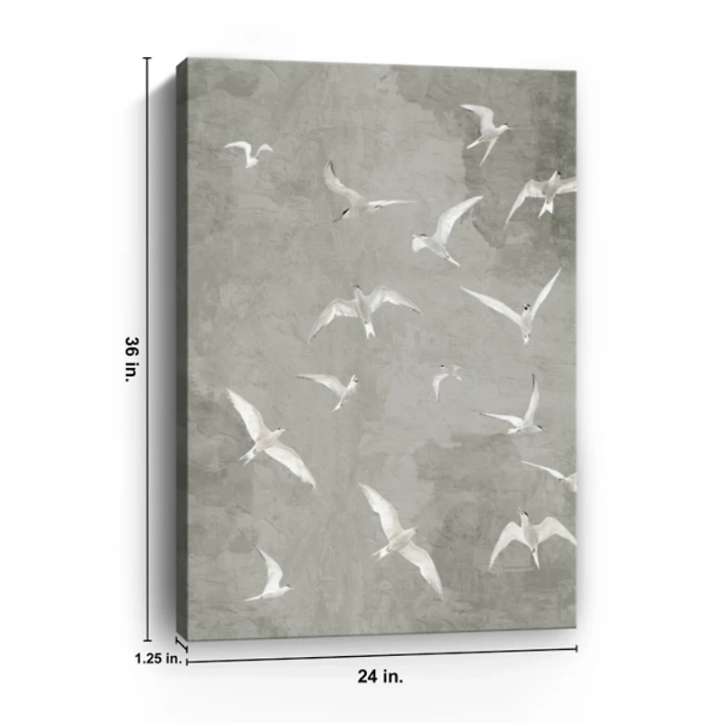 Gray Flight Canvas Art Print, 24x36