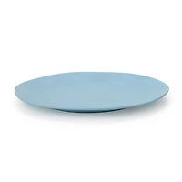 Blue Organic Melamine Dinner Plate