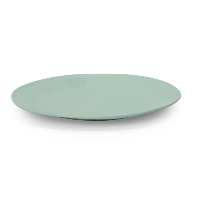 Organic Melamine Dinner Plate