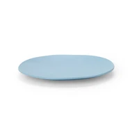 Organic Melamine Salad Plate