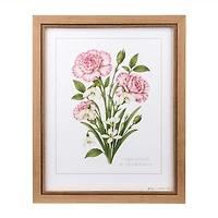 January Carnation and Snowdrop Framed Art Print