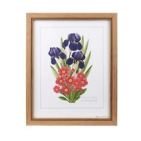 February Iris and Primrose Framed Art Print