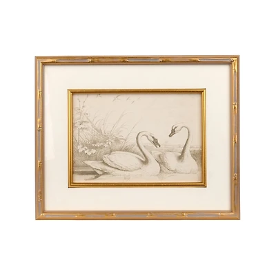 Sketched Swans Framed Art Print