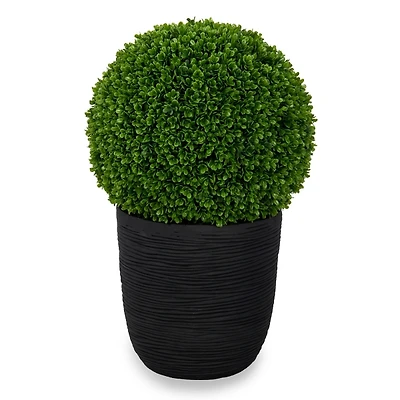 UV Boxwood Ball Topiary in Black Pot