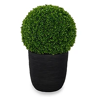 UV Boxwood Ball Topiary in Black Pot