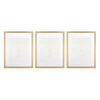 Gold Matted Wall Picture Frames