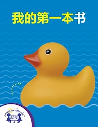 我的第一本书