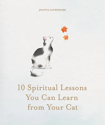 10 Spiritual Lessons You Can Learn from Your Cat : Essential Life Lessons We Can Learn From Our Furry Friend