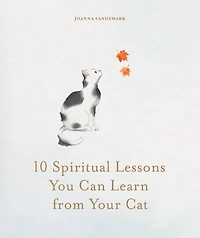 10 Spiritual Lessons You Can Learn from Your Cat : Essential Life Lessons We Can Learn From Our Furry Friend