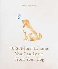 10 Spiritual Lessons You Can Learn from Your Dog : Essential Life Lessons We Can Learn From Our Furry Friend