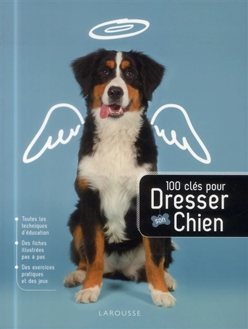 100 clés pour dresser son chien