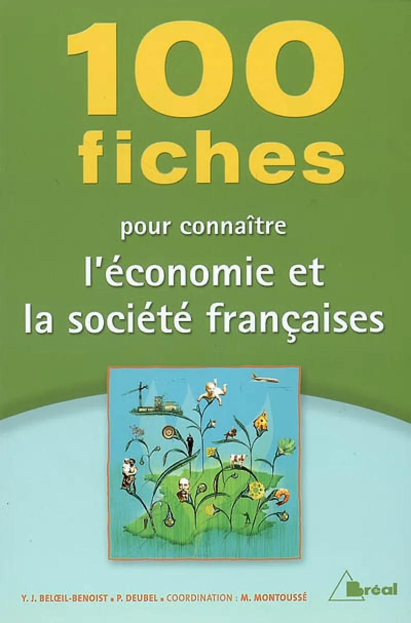 100 fiches pour connaître l'économie et la société françaises : classes préparatoires aux grandes écoles commerciales, 1er cycle universitaire, concours de la fonction publique